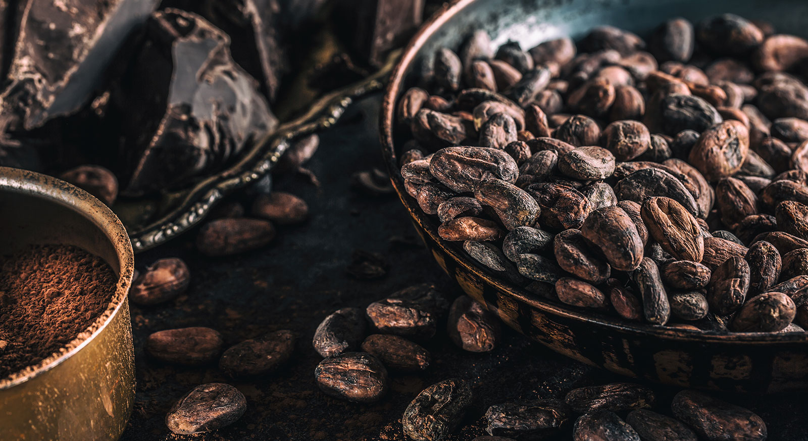 Ezta Agro | Doğal, Güvenli ve Sağlık Dostu Kakao Ürünleri & Glutensiz Ürünler