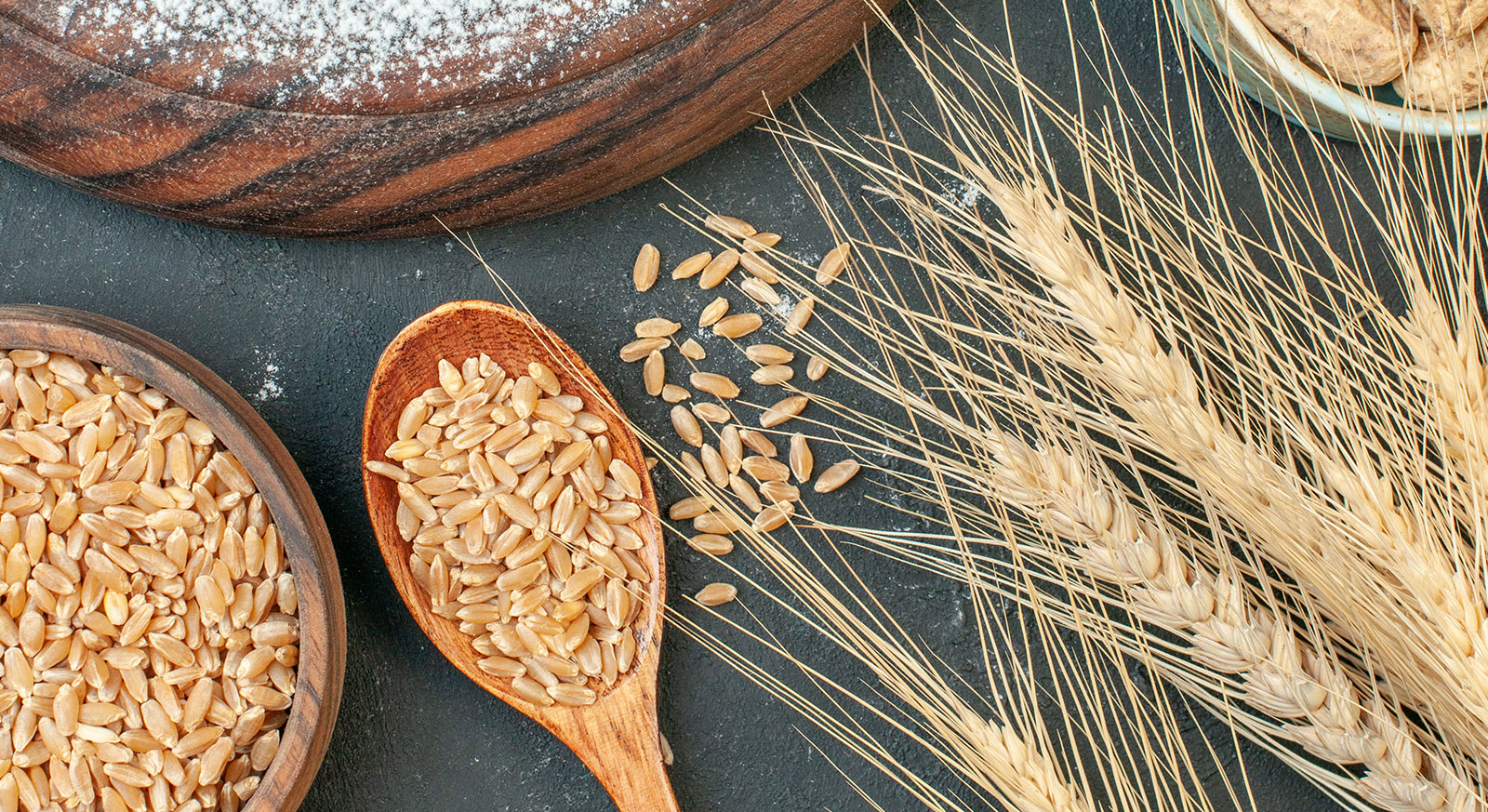 Ezta Agro | Doğal, Güvenli ve Sağlık Dostu Kakao Ürünleri & Glutensiz Ürünler