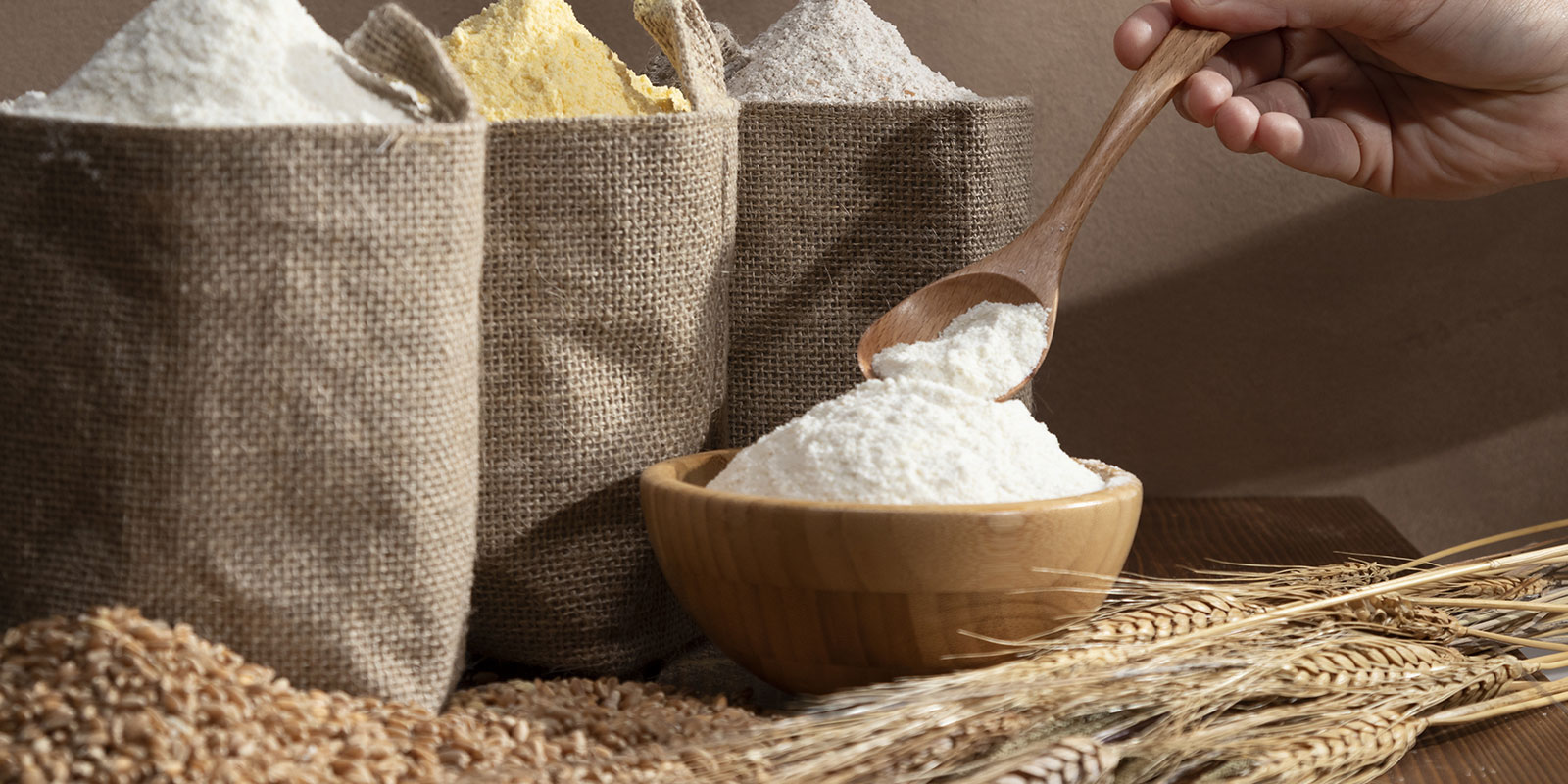 Ezta Agro | Doğal, Güvenli ve Sağlık Dostu Kakao Ürünleri & Glutensiz Ürünler