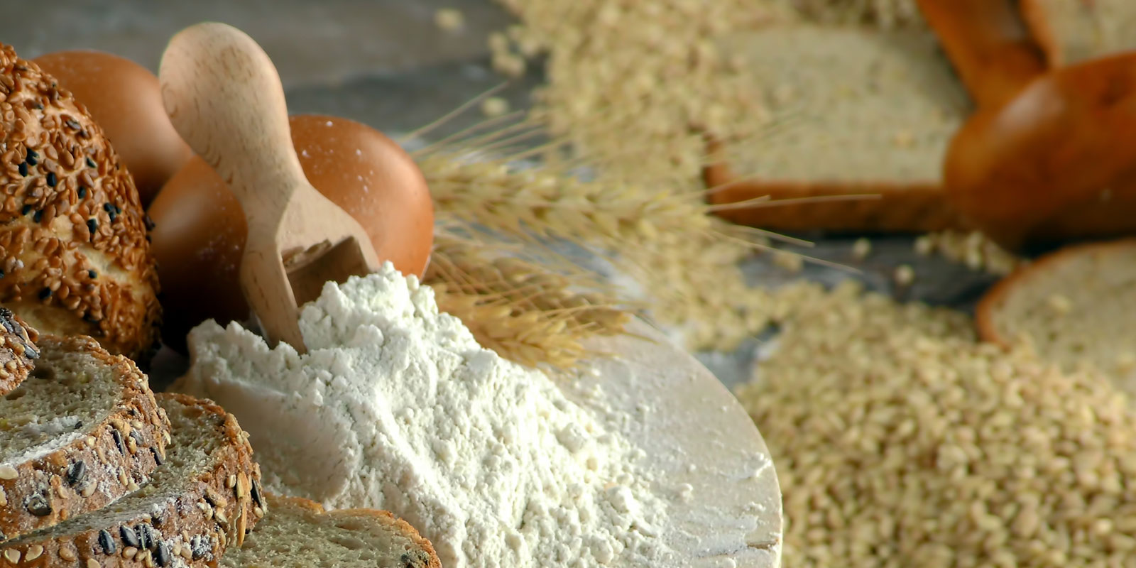 Ezta Agro | Doğal, Güvenli ve Sağlık Dostu Kakao Ürünleri & Glutensiz Ürünler